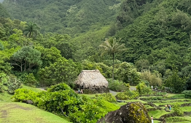 Photo provided by grant partner