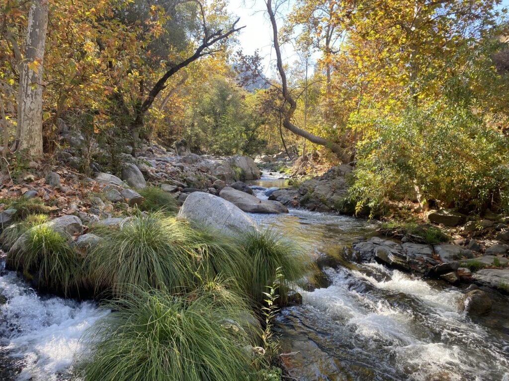 Photo provided by grant partner
