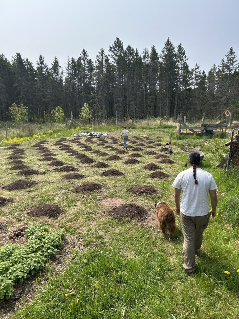 Image for Native American Educational Technologies